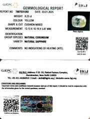 8.23/CT Natural Ceylonese Pukhraj with Govt Lab Certificate-6771